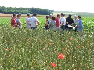 Ferme bio