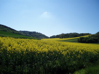 Vers Coulangeron - charte local de l'eau