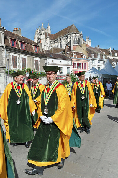 Fleurs-de-vigne-10