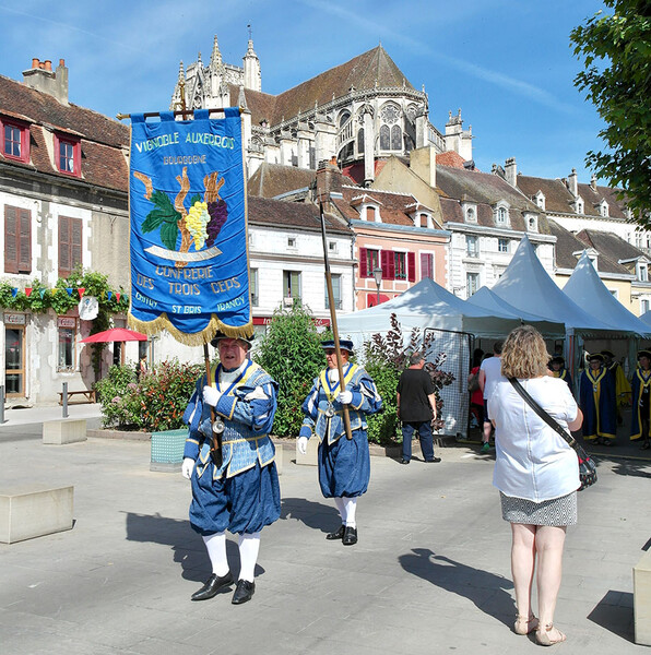 Fleurs-de-vigne-2018